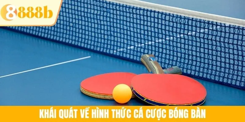 Khái quát về hình thức cá cược bóng bàn