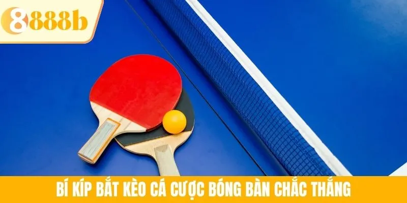 Bí kíp bắt kèo cá cược bóng bàn chắc thắng