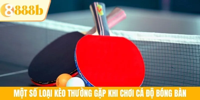 Một số loại kèo thường gặp khi chơi cá độ bóng bàn