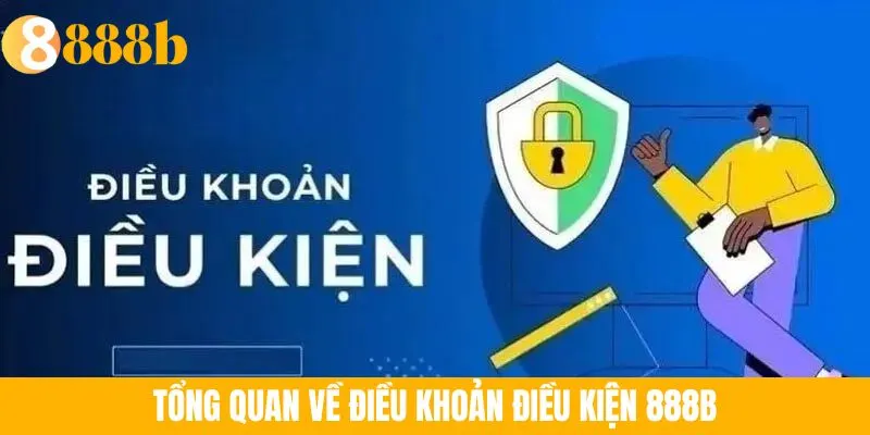 Ảnh minh họa: Tổng quan về điều khoản điều kiện 888B