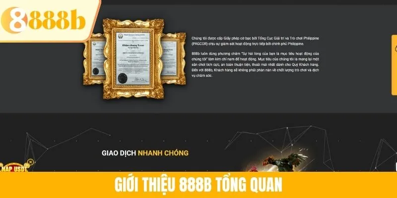 Giới thiệu 888B tổng quan