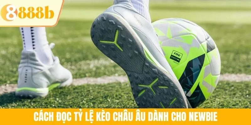 Cách đọc tỷ lệ kèo châu Âu dành cho newbie