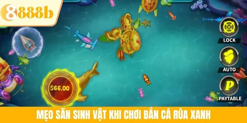 Mẹo săn sinh vật khi chơi bắn cá rùa xanh