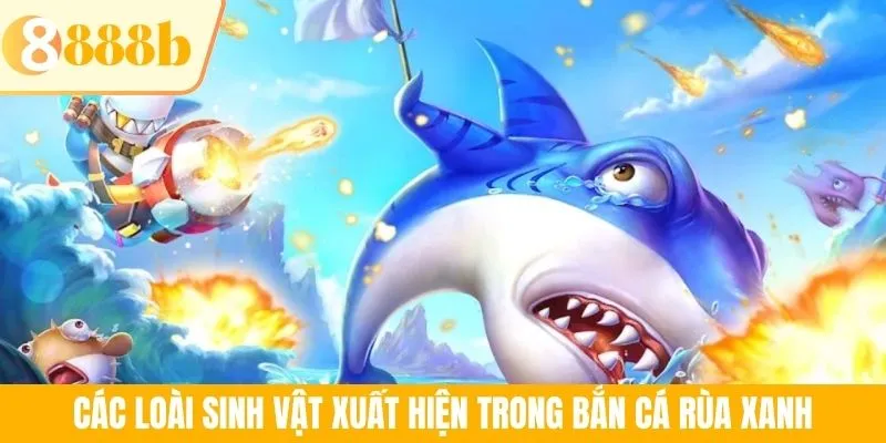 Các loài sinh vật xuất hiện trong bắn cá rùa xanh