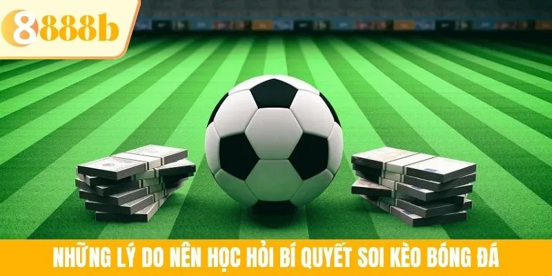 Những lý do nên học hỏi bí quyết soi kèo bóng đá