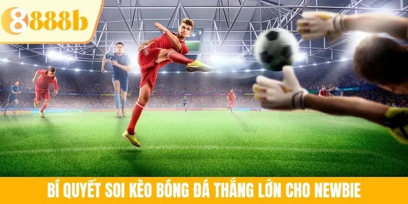 Bí quyết soi kèo bóng đá thắng lớn cho newbie