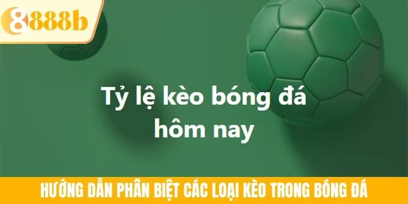 Hướng dẫn phân biệt các loại kèo trong bóng đá