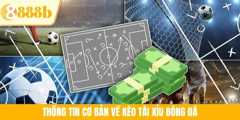 Thông tin cơ bản về kèo Tài Xỉu bóng đá