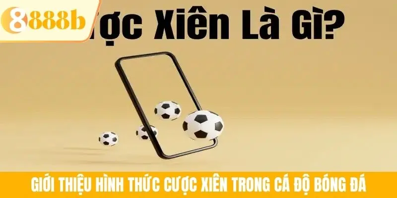 Giới thiệu hình thức cược xiên trong cá độ bóng đá