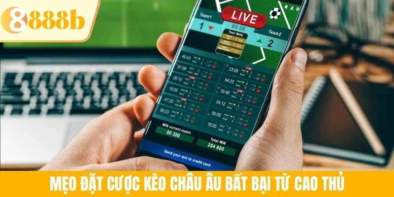 Mẹo đặt cược kèo châu Âu bất bại từ cao thủ