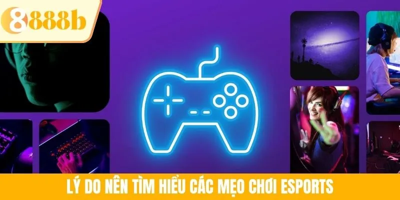 Lý do nên tìm hiểu các mẹo chơi Esports