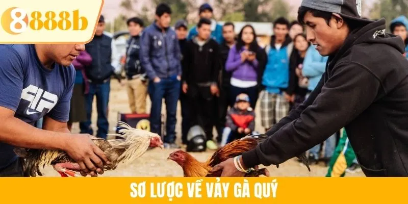 Sơ lược về vảy gà quý