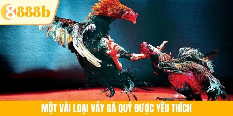 Một vài loại vảy gà quý được yêu thích