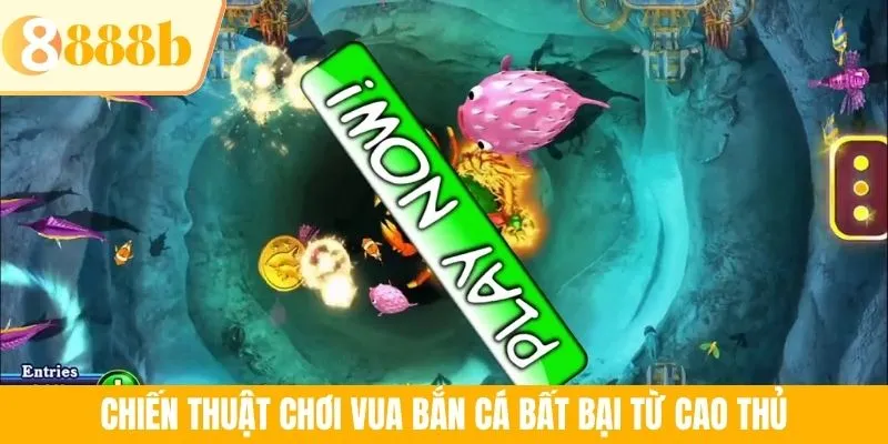 Chiến thuật chơi Vua bắn cá bất bại từ cao thủ
